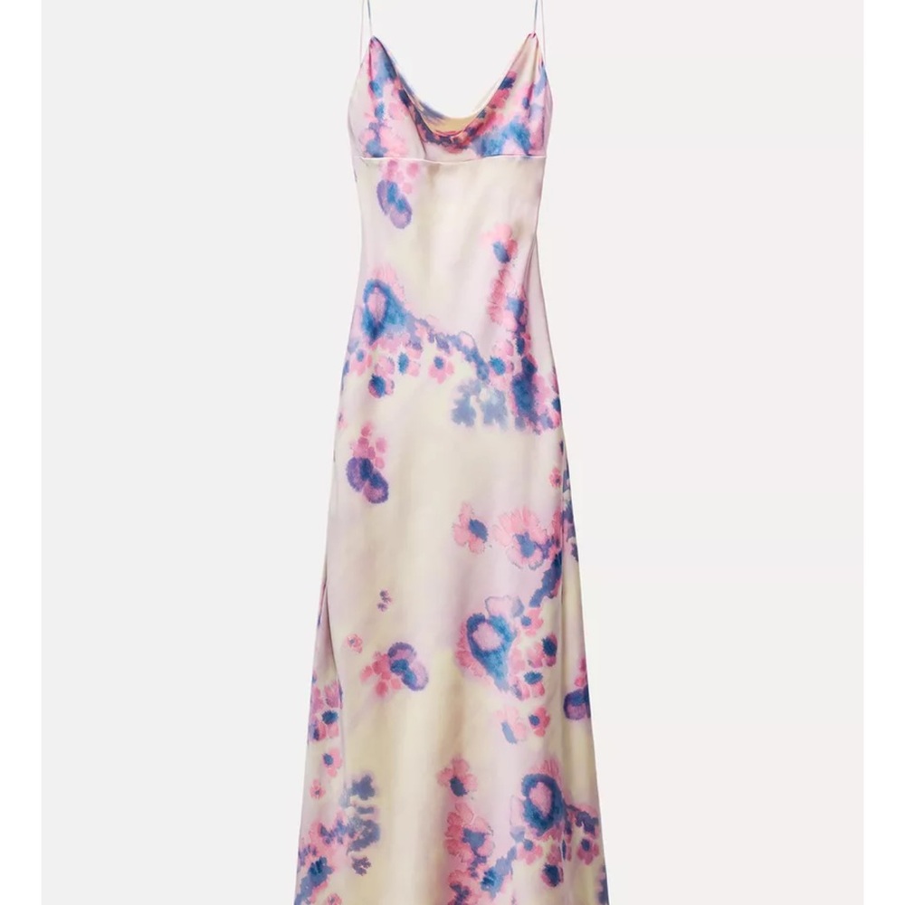 Zara Pink and Blue Maxi Dress